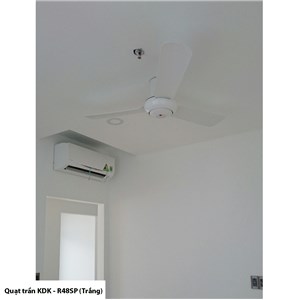 Model R48SP White